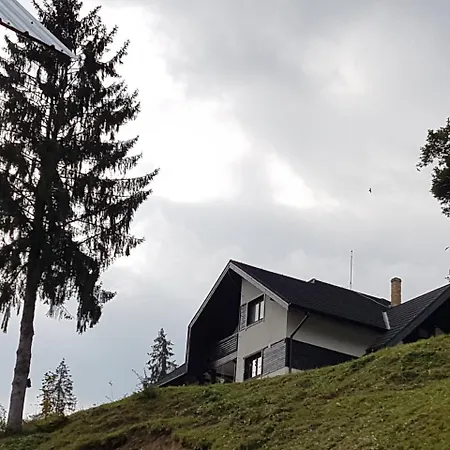Farm stay Pensiunea Maria-bucovina