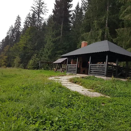 Farm stay Pensiunea Maria-bucovina