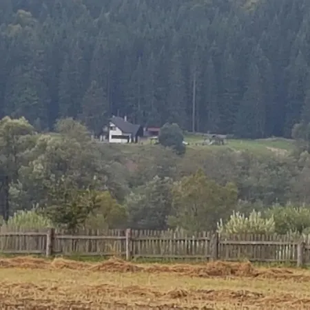 Pensiunea Maria-bucovina * Vatra Moldovitei