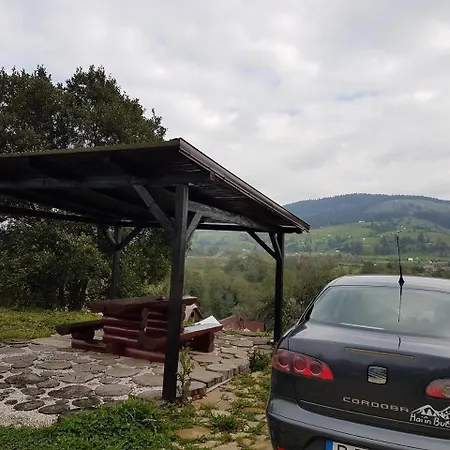 Pensiunea Maria-bucovina Farm stay *