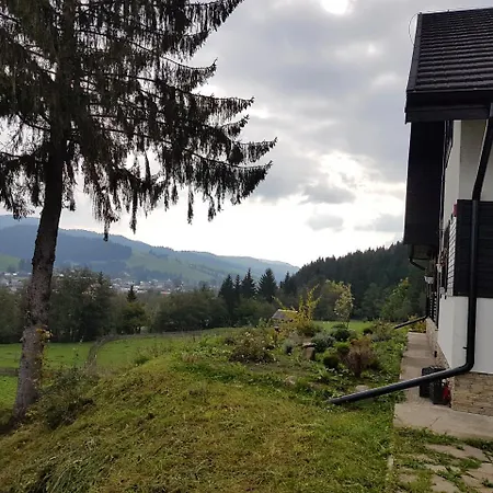 Pensiunea Maria-bucovina Farm stay *