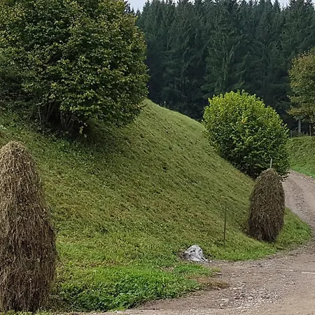 Pensiunea Maria-bucovina Farm stay *