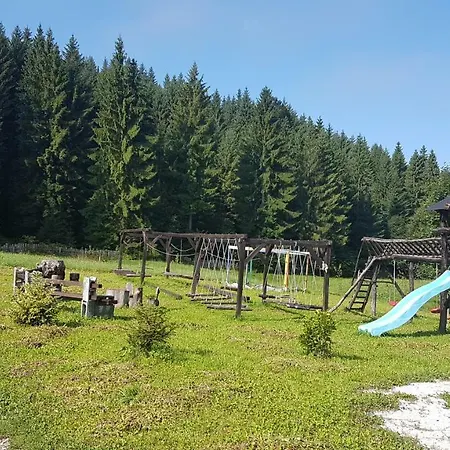 Pensiunea Maria-bucovina Farm stay *