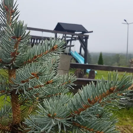 Pensiunea Maria-bucovina Farm stay Vatra Moldovitei
