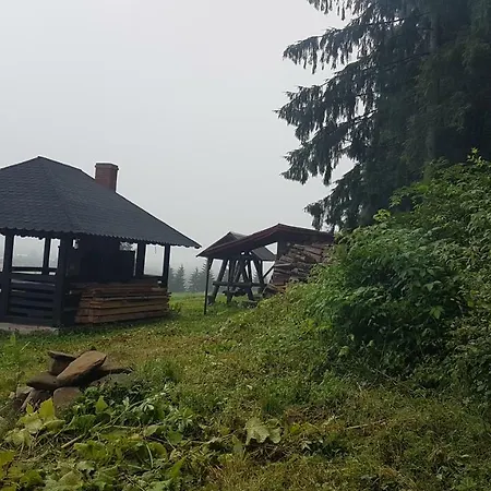 Farm stay Pensiunea Maria-bucovina